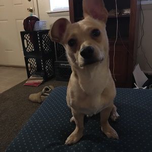 Meet your Posher, Sherry